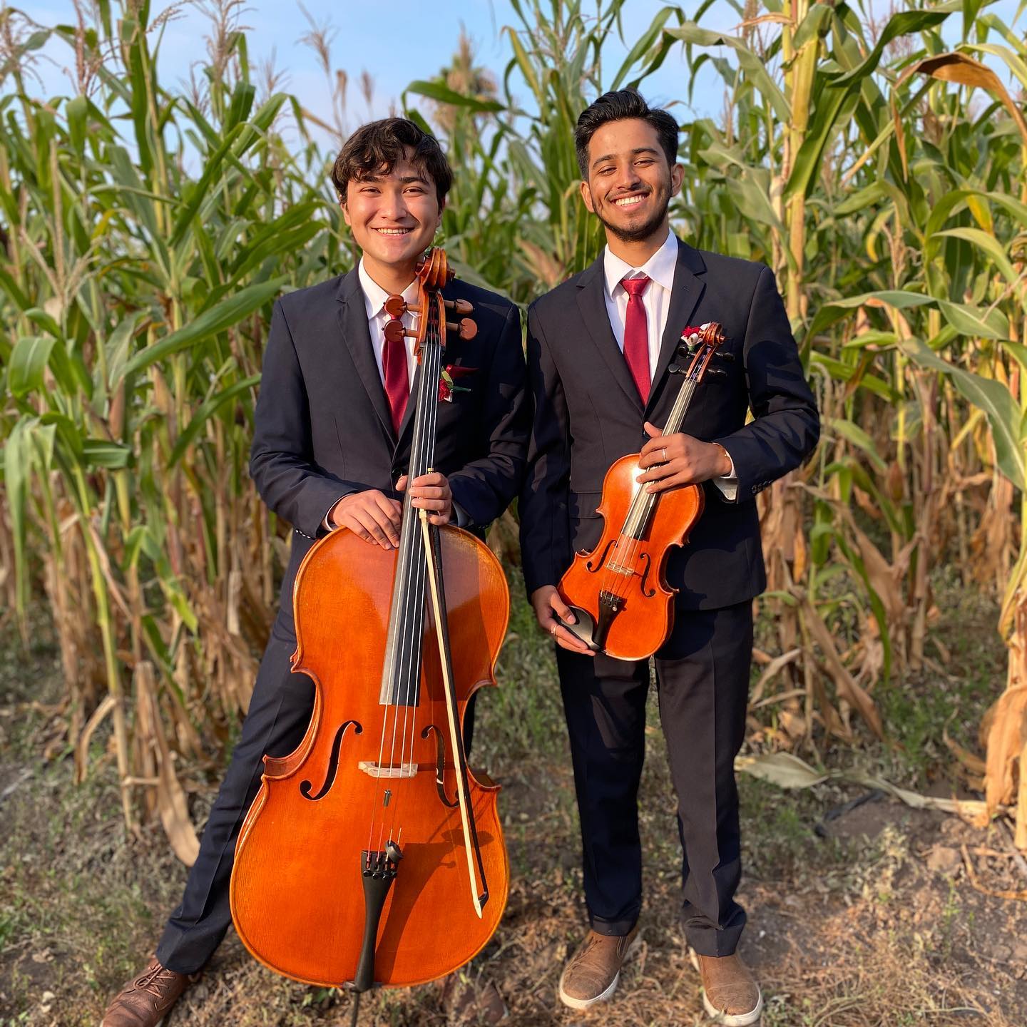 Instrumento musical profesional para eventos especiales